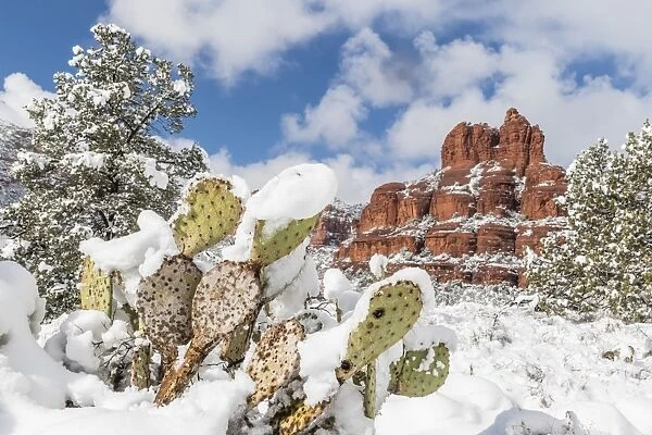 Bell Rock after a snow storm near Sedona, Arizona, United States of America, North