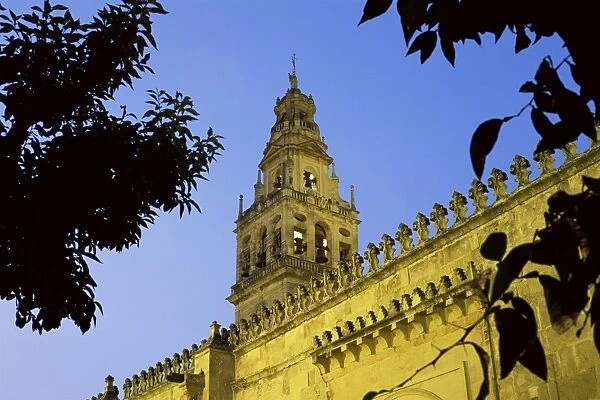 Bell tower of the Mezquita illuminated at night