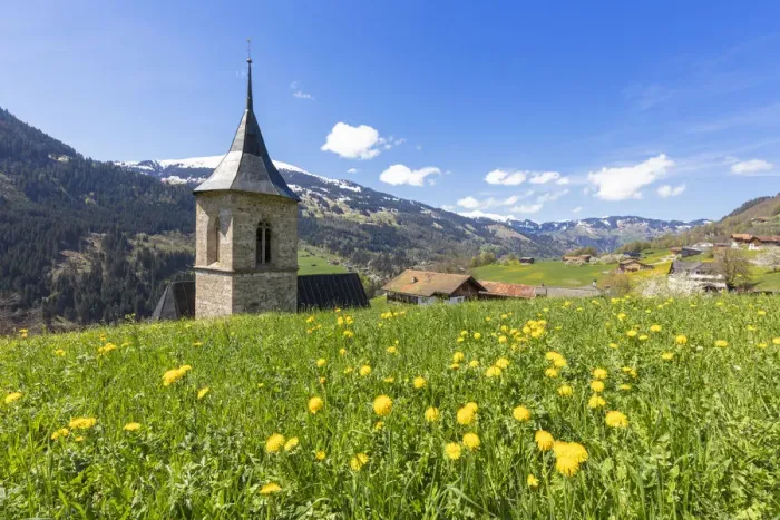 Framed Print : Bell tower surrounded by wildflowers and meadows in spring, Luzein, Prattigau-Davos region Framed Print : Bell tower surrounded by wildflowers and meadows in spring, Luzein, Prattigau-Davos region