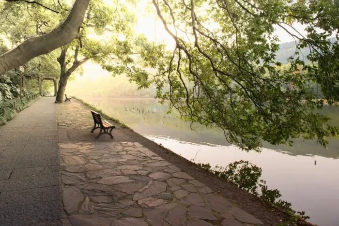 Framed Print : Bench under tree canopy at West Lake shore in Hangzhou, Zhejiang, China, Asia Framed Print : Bench under tree canopy at West Lake shore in Hangzhou, Zhejiang, China, Asia