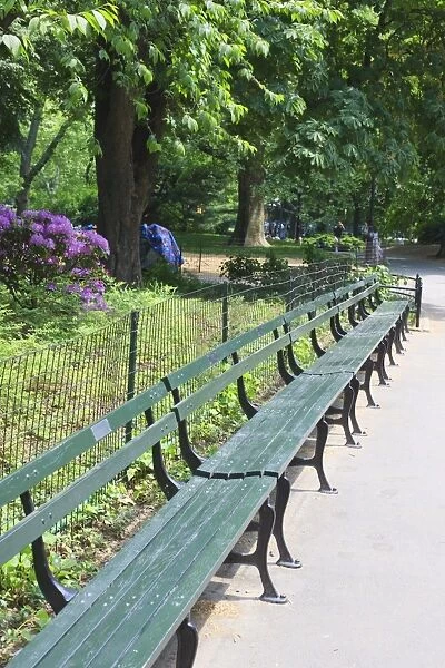 Benches, Central Park, Manhattan, New York City, New York, United States of America