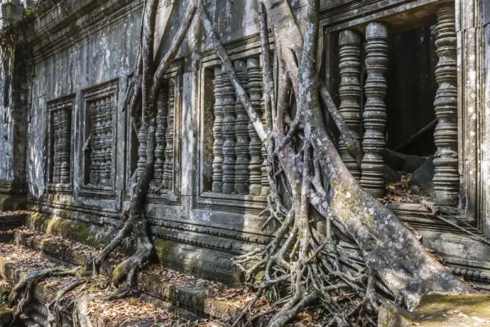 Framed Print : Beng Mealea Temple, overgrown and falling down, Angkor, UNESCO World Heritage Site, Siem Reap Province, Cambodia, Indochina, Southeast Asia, Asia Framed Print : Beng Mealea Temple, overgrown and falling down, Angkor, UNESCO World Heritage Site, Siem Reap Province, Cambodia, Indochina, Southeast Asia, Asia
