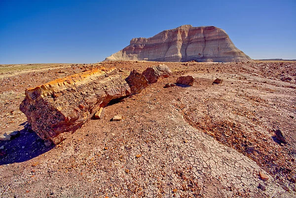 A Bentonite formation in Petrified Forest National Park near Crystal Forest called