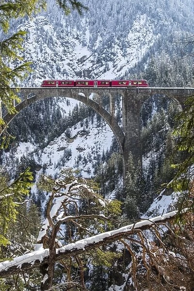 The Bernina Express crossing the Wiesen Viaduct in the Swiss Canton of Graubunden, Switzerland, Europe