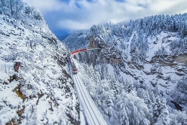 Bernina Express passes through the snowy woods around Filisur, Canton of Grisons (Graubunden)