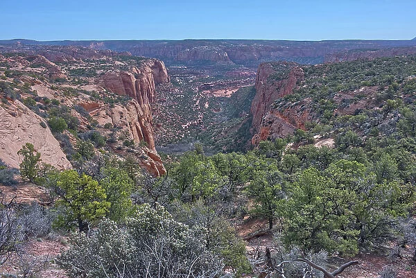 Betatakin Canyon, Navajo National Monument, inside the Navajo Indian Reservation northwest of the town of Kayenta, Arizona, United States of America, North America