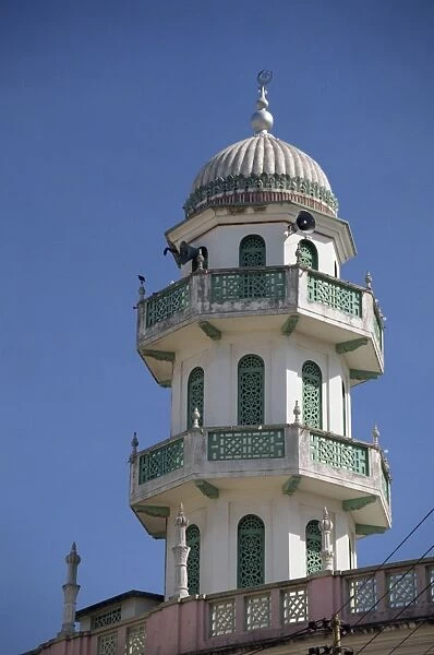 Bhadala Mosque and minaret