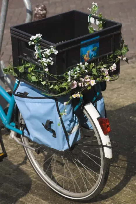 Framed Print : Bicycle decorated with flowers, Amsterdam, Netherlands, Europe Framed Print : Bicycle decorated with flowers, Amsterdam, Netherlands, Europe