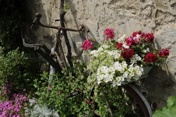 Framed Print : Bicycle decorated with flowers, Brantome, Dordogne, France, Europe
