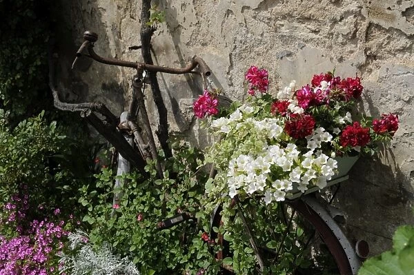 Bicycle decorated with flowers, Brantome, Dordogne, France, Europe