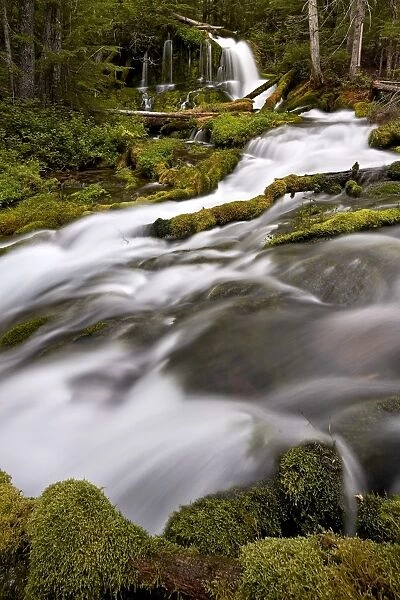 Big Spring Creek Falls, Gifford Pinchot National Forest, Washington, United States of America
