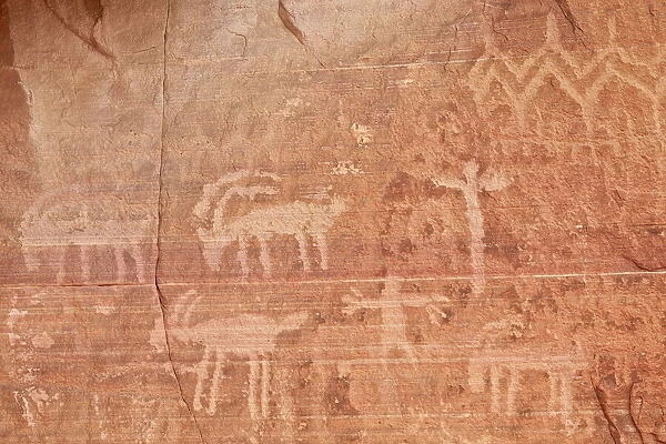 Bighorn sheep, human, and geometric petroglyphs, Gold Butte, Nevada, United States of America, North America