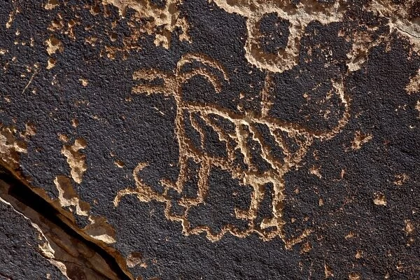 Bighorn sheep petroglyph, Petrified Forest National Park, Arizona, United States of America