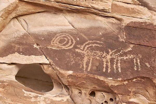 Bighorn sheep and symbol petroglyphs, Gold Butte, Nevada, United States of America, North America