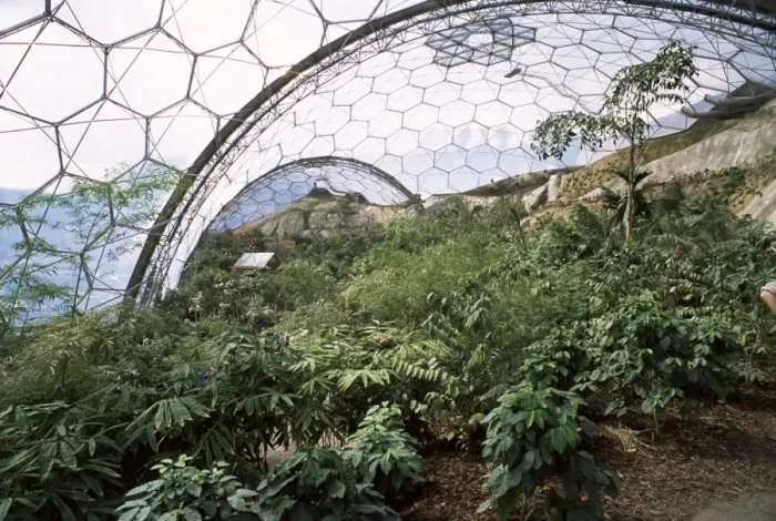 Framed Print : Biome interior, The Eden Project, near St. Austell, Cornwall, England, United Kingdom Framed Print : Biome interior, The Eden Project, near St. Austell, Cornwall, England, United Kingdom