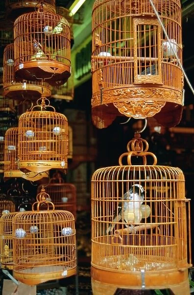 The Bird Market, Hong Lok Street, Mongkok, Kowloon, Hong Kong, China