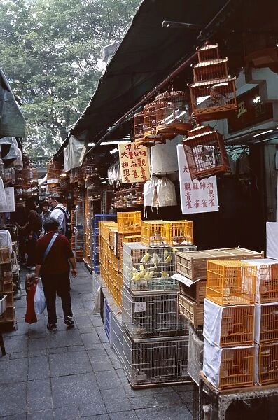 Bird market, Yuen Po Street Bird Garden, Mong Kok, Kowloon, Hong Kong, China, Asia