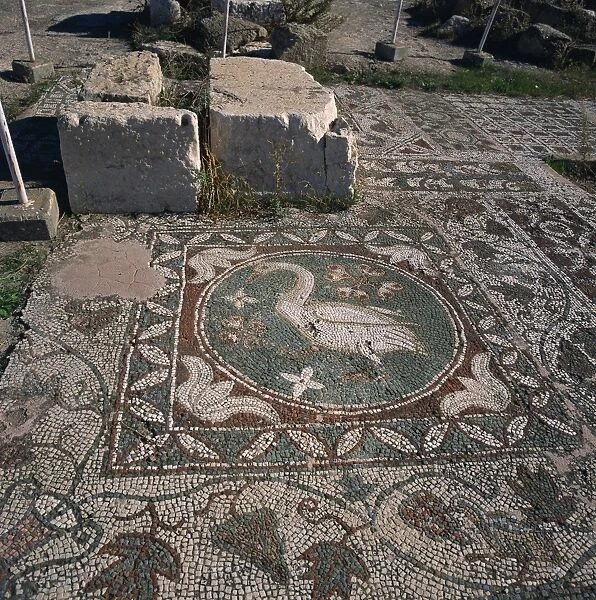 Bird mosaic on floor of Roman basilica of the 5th century AD in Soli, one of Cypruss ten ancient city kingdoms, founded in the 6th century BC, Soli, North