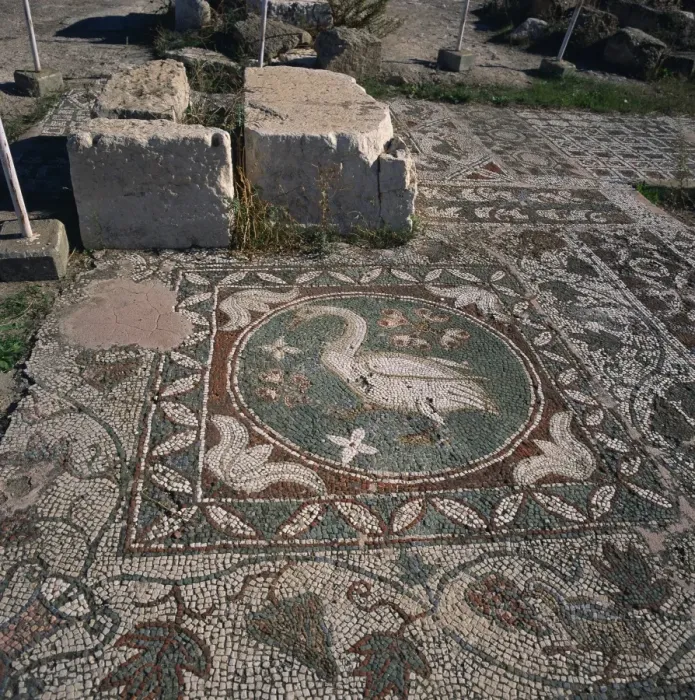 Framed Print : Bird mosaic on floor of Roman basilica of the 5th century AD in Soli, one of Cypruss ten ancient city kingdoms, founded in the 6th century BC, Soli, North Framed Print : Bird mosaic on floor of Roman basilica of the 5th century AD in Soli, one of Cypruss ten ancient city kingdoms, founded in the 6th century BC, Soli, North