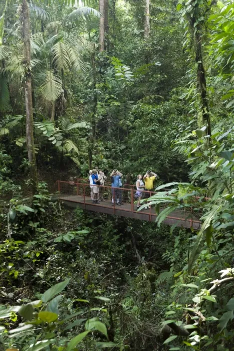 Framed Print : Birdwatchers, Mistico Arenal Hanging Bridges, Alajuela, Costa Rica, Central America Framed Print : Birdwatchers, Mistico Arenal Hanging Bridges, Alajuela, Costa Rica, Central America