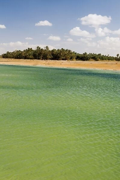 Birket Siwa (Siwa Lake), Siwa Oasis, Western Desert, Egypt, North Africa, Africa