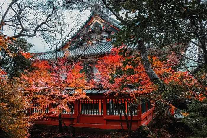 Framed Print : Bishamon-do Buddhist temple with autumn colors, Kyoto, Honshu, Japan, Asia Framed Print : Bishamon-do Buddhist temple with autumn colors, Kyoto, Honshu, Japan, Asia