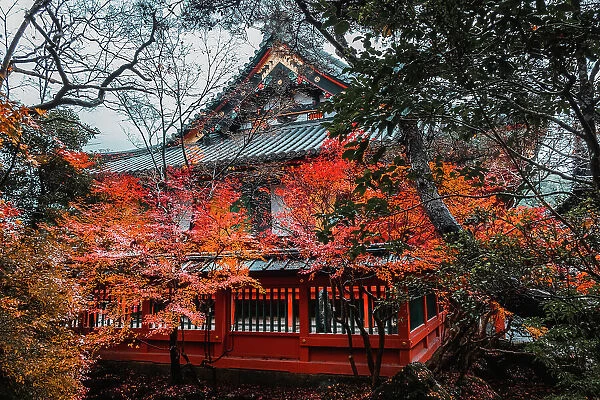 Bishamon-do Buddhist temple with autumn colors, Kyoto, Honshu, Japan, Asia