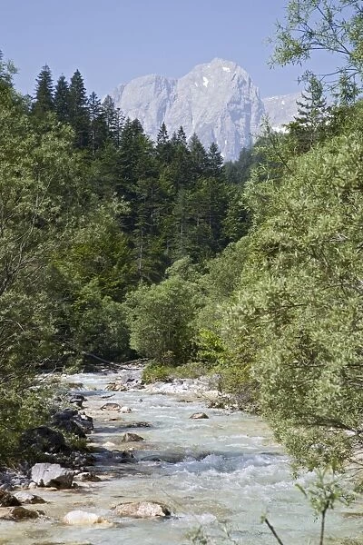 Bistrica River and forest with Stenar mountain beyond in summer