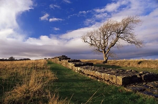 Black Carts, Roman Wall, Hadrians Wall, UNESCO World Heritage Site