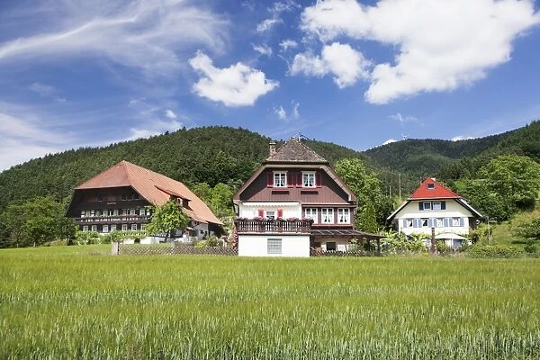 Black Forest houses, Gutachtal Valley, Black Forest, Baden Wurttemberg, Germany, Europe