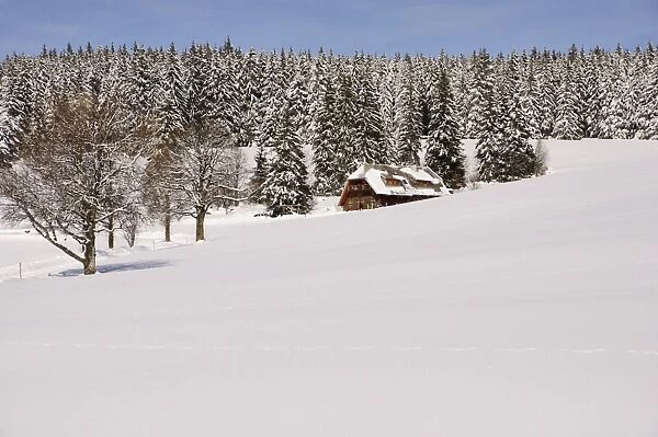 The Black Forest in winter, near Schoenwald, Baden-Wurttemberg, Germany, Europe