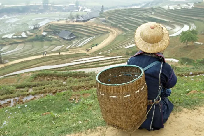 Framed Print : Black Hmong ethnic group and rice fields, Sapa area, Vietnam, Indochina, Southeast Asia, Asia Framed Print : Black Hmong ethnic group and rice fields, Sapa area, Vietnam, Indochina, Southeast Asia, Asia