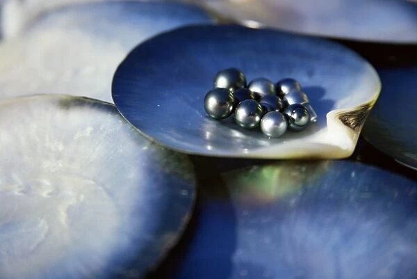 Black pearls, Cook Islands, South Pacific, Pacific
