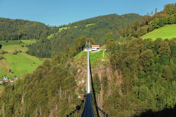 Framed Print : Blackforestline suspension bridge, Todtnau, Schwarzwald (Black Forest), Baden-Wurttemberg, Germany, Europe Framed Print : Blackforestline suspension bridge, Todtnau, Schwarzwald (Black Forest), Baden-Wurttemberg, Germany, Europe