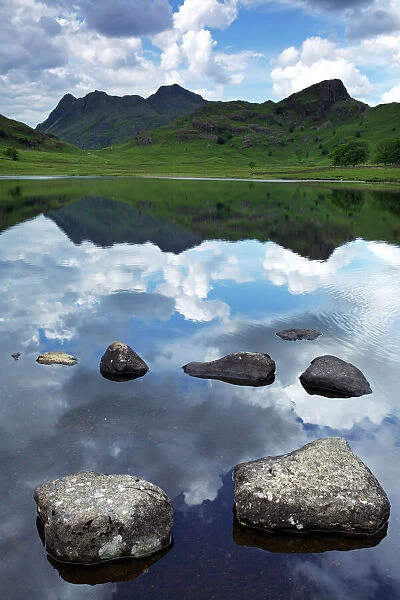 Blea Tarn and Langdale Pikes, Lake District National Park, Cumbria, England, United Kingdom, Europe