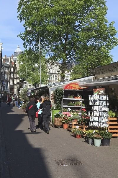 Bloemenmarkt (flower market), Amsterdam, Netherlands, Europe