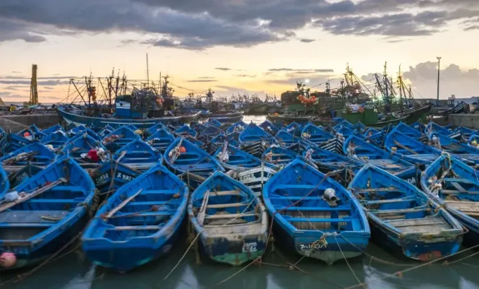 Framed Print : Blue boats in the old fishing port at sunset, Essaouira, Marrakesh-Safi, Morocco Framed Print : Blue boats in the old fishing port at sunset, Essaouira, Marrakesh-Safi, Morocco