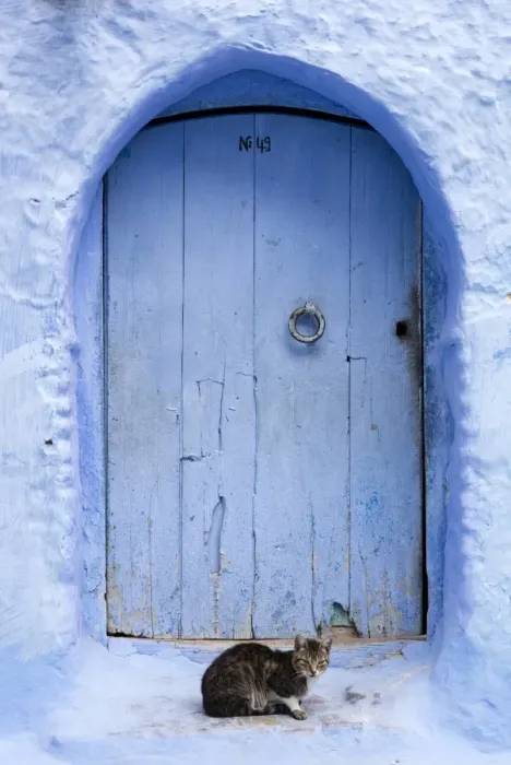 Framed Print : Blue door and wall in the old town of Chefchaouen (Chaouen) (The Blue City), Morocco Framed Print : Blue door and wall in the old town of Chefchaouen (Chaouen) (The Blue City), Morocco