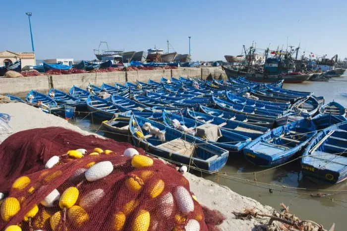 Framed Print : Blue fishing boats in Essaouira Port, formerly Mogador, Morocco, North Africa, Africa Framed Print : Blue fishing boats in Essaouira Port, formerly Mogador, Morocco, North Africa, Africa
