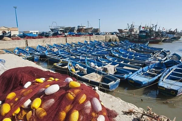 Blue fishing boats in Essaouira Port, formerly Mogador, Morocco, North Africa, Africa