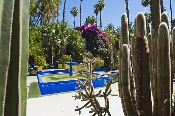 Blue fountain and cactus in the Majorelle Gardens (Gardens of Yves Saint-Laurent), Marrakech, Morocco, North Africa, Africa