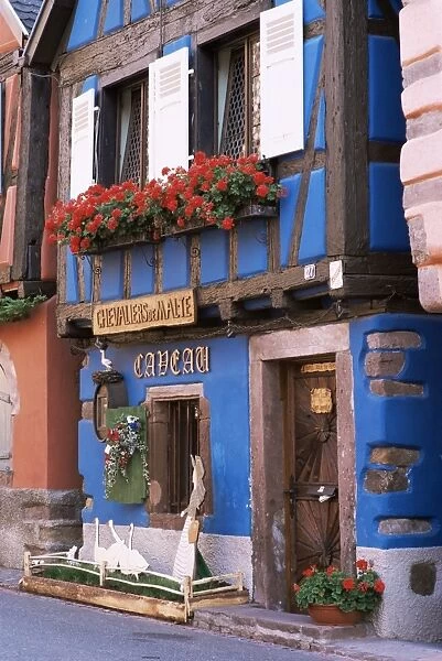 Blue house with windowbox full of geraniums, Niedermorschwihr, Haut-Rhin