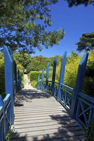 Blue Japanese-style bridge in the sub-tropical Abbey Gardens, Island of Tresco