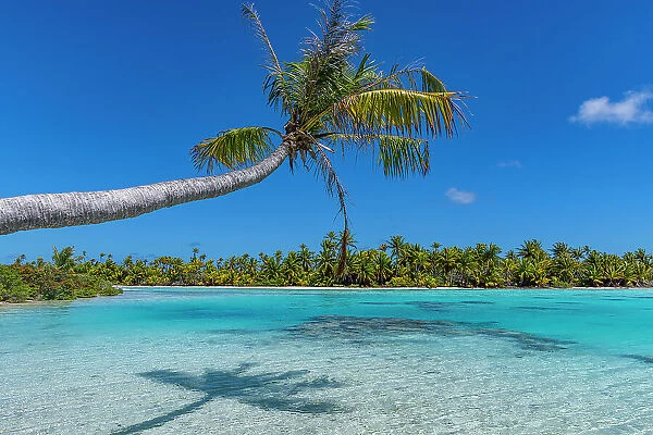 Blue lagoon, Fakarava, Tuamotu archipelago, French Polynesia, South Pacific, Pacific