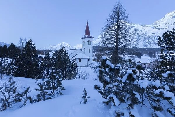 Blue lights of dusk on Chiesa Bianca framed by snowy trees, Maloja Pass, Engadine