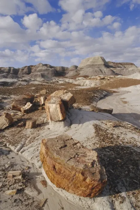 Framed Print : Blue Mesa, Petrified Forest National Park Framed Print : Blue Mesa, Petrified Forest National Park