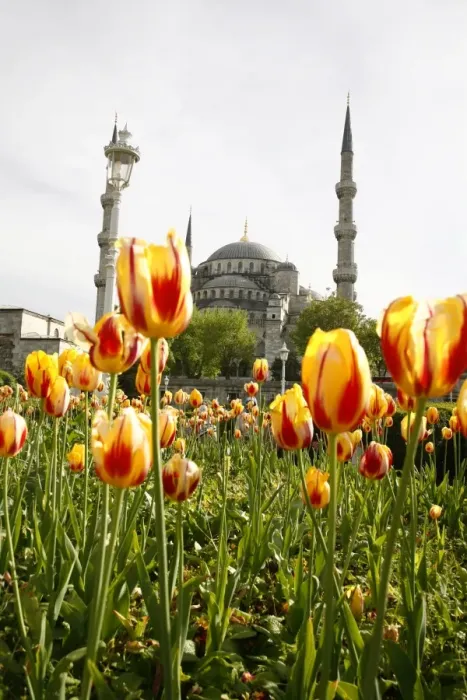 Framed Print : The Blue Mosque (Sultan Ahmet Camii), Istanbul, Turkey, Europe Framed Print : The Blue Mosque (Sultan Ahmet Camii), Istanbul, Turkey, Europe