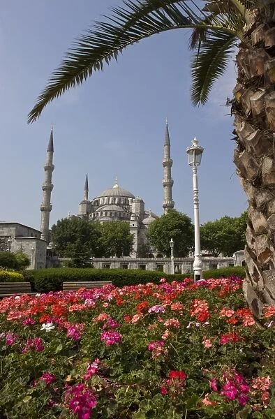 Blue Mosque from Sultanahmet Square, Istanbul, Turkey, Europe