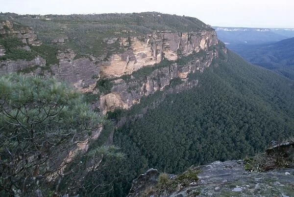 The Blue Mountains, UNESCO World Heritage Site, New South Wales (N. S. W