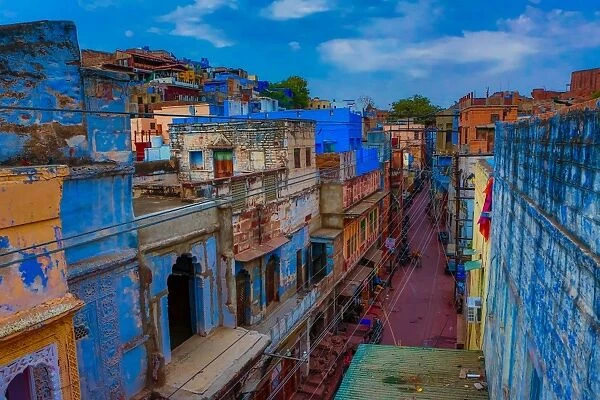 The blue rooftops in Jodhpur, the Blue City, Rajasthan, India, Asia